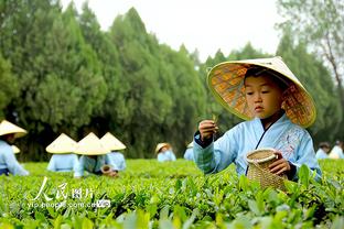 官方：水晶宫主帅霍奇森已回来带队训练，将指挥下场比赛